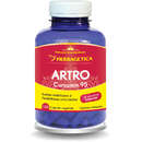 Artro+ Curcumin 95 120 Capsule