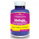 Shilajit Extract, 120 Capsule